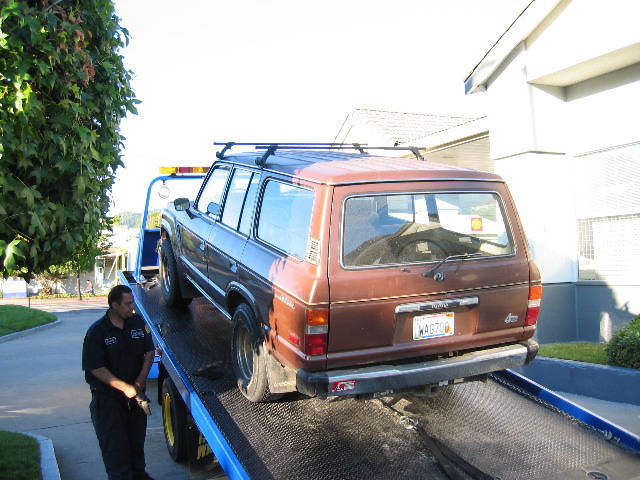 Gerardo loads Winnie onto a flatbed.